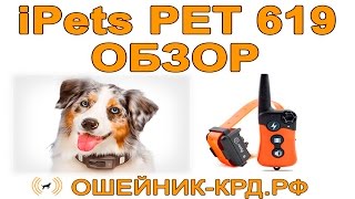 Обзор электронного ошейника PET 619