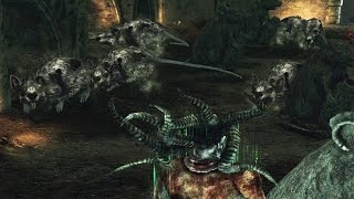 Dark Souls 2: Royal Rat Vanguard Boss Fight (4K 60fps)