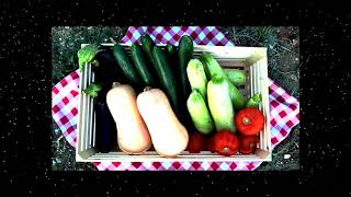 Hotel Rema - Vourvourou - Greece 1080p Review