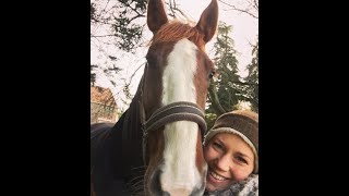 Equine Craniosacral Therapy Online Course Testimonial