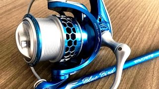 Favorite Blue Bird NEW!!! Новинки 2017 года.