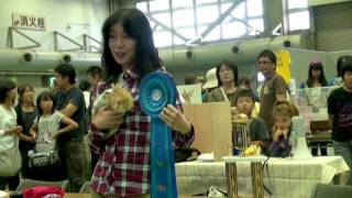 【日本うさぎ祭り2011】うちの子１番コンテスト受賞式
