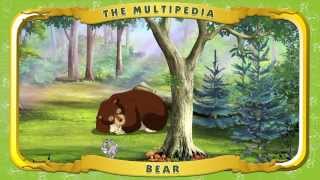 Multipedia of Animals. The Bear (Мультипедия животных на английском языке)