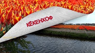 Кёкенхоф-Голландия не заканчивается, он навсегда.....