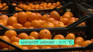 აგრო ბიზნესი | სამაცივრე მეურნეობები აჭარაში