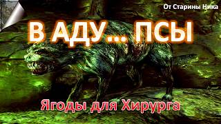 S.T.A.L.K.E.R. В Аду... Псы - Ягоды для Хирурга