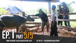 เกษตรพอเพียงบนแผ่นดินพ่อ EP.1 Past 5/5