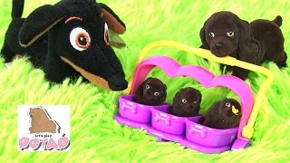 СЕМЬЯ С ЩЕНЯТАМИ! Щенок в Моём Кармане. Видео для Детей. Puppy in My Pocket Игрушки для девочек
