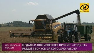 Медаль и пожизненная премия. «Колхоз «Родина» раздаёт бонусы за хорошую работу