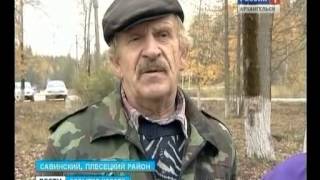 Савинский цементный завод останавливает производство