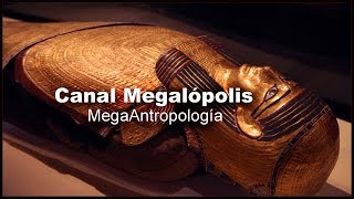 ANTROPOLOGÍA FÍSICA (La Momia Dorada)
