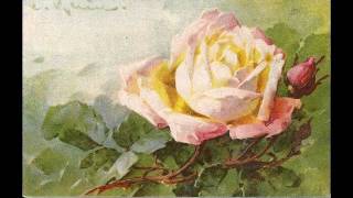 Catharina Klein Video V: Roses