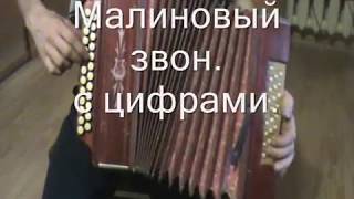 Малиновый звон с нотами в цифрах.