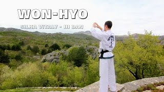 Won-Hyo (Зеленый пояс)