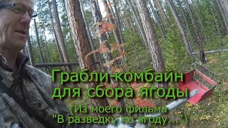 Грабли-комбайн для сбора ягоды  (Эксперимент)