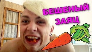 Бешеный заяц / Андрей Мартыненко