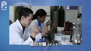 感染症に国境は無い