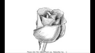 How to Draw a Beautiful Rose Bud with Shading