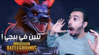 تنين في ببجي موبايل! - PUBG Mobile Dragon