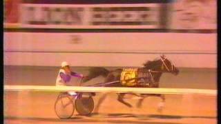 1980 & 1981 Auckland Cups - Alexandra Park, Auckland: Delightful Lady