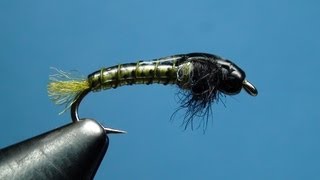 Emergence Caddis Larva