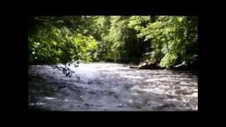 Bodetal im Ostharz