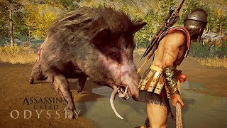 Caçada ao JAVALI GIGANTE ( o Javali Calidônio) - Assassin's Creed Odysey