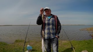 Ловля карася на донку "пружину" весной.