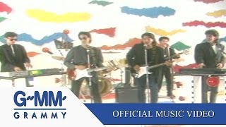 คางคกร่าเริงเลย - นูโว【OFFICIAL MV】