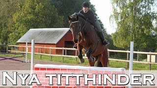 BOPPEN HOPPAR VÅRA NYA TITTHINDER - stallvlogg