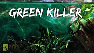 My Pets Were Killed by a Green Monster