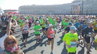 Марафон Белые ночи 2016, старт