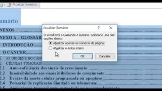 Criar ou atualizar um sumário no Microsoft Word