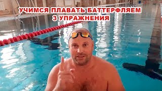 Учимся плавать баттерфляем! 3 упражнения чтобы научиться плавать батом с нуля