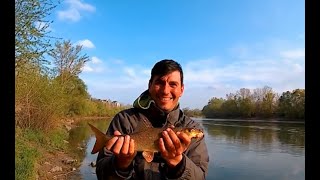 Щука на Strike Pro Montero 90 sp и MIRAGE XS 70F Kosadaka, Усач на RIGGE FLAT 50