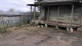 Видео с места взрыва в Велиже