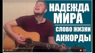 НАДЕЖДА МИРА Слово жизни | Аккорды | Бой | Вокал | Разбор песни | Сегодня новый день