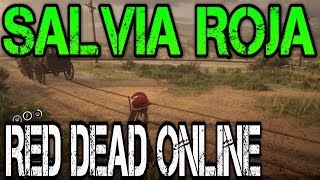 RED DEAD ONLINE - DESAFIOS DIARIOS - CONSEGUIR SALVIA ROJA