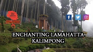 Lamahatta Eco Park | Sightseeing near Darjeeling | Smile with Srimonti