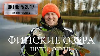 Ловля гигантских окуней на джиг в Финляндии. Осенняя раздача. [Красотище!].