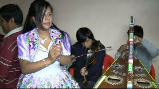 Huayno ?JARANA mix ARPA Y VIOLIN (full Bailable)??