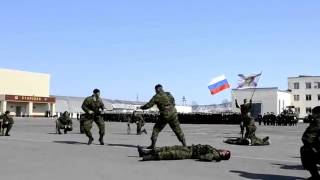 Marines (satellite Pechenga) Russia (сity Arkhangelsk).