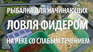 ЛОВЛЯ на ФИДЕР на РЕКЕ со СЛАБЫМ ТЕЧЕНИЕМ для НАЧИНАЮЩИХ