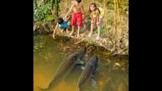 Приколы на рыбалке! Fun fishing!