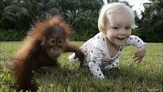 Смешные Обезьянки и Дети! Funny Monkeys and Children!