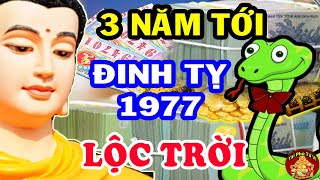 Sách Trời Ghi Rõ Tuổi Đinh Tị 1977 Đổi Vận Cực Phất Tiền Tiêu 7 Đời Không Hết