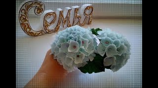 Как сделать Гортензию из бумаги DIY Мастер Класс How to make Hydrangea from paper DIY Master Class