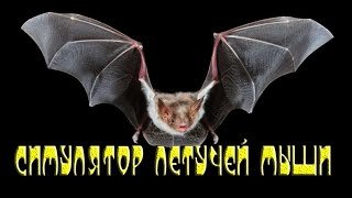 симулятор Летучей мыши ОБЗОР