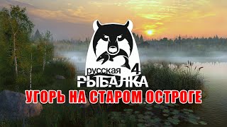Есть ли угорь на Старом Остроге? ∘ Русская Рыбалка 4