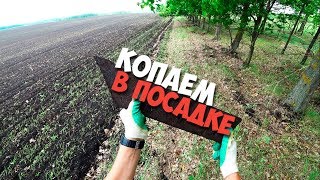 Копаем металл в посадке. Коп 2019